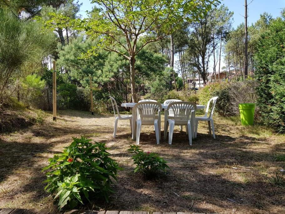 Maison A 300M De La Plage Villa Moliets-et-Maa Luaran gambar